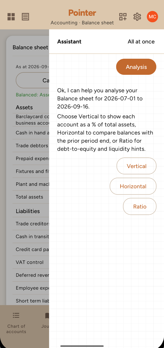 Pointer assistant analysing a balance sheet